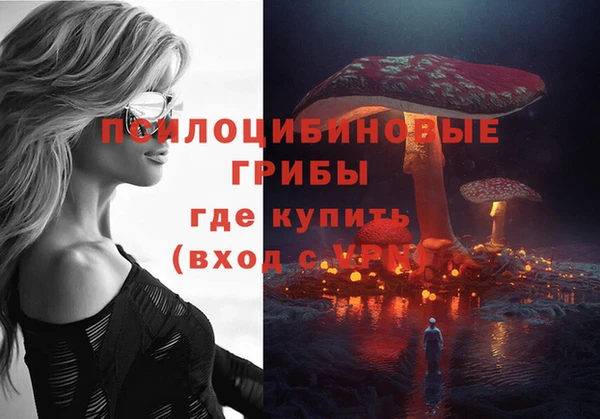дурь Баксан