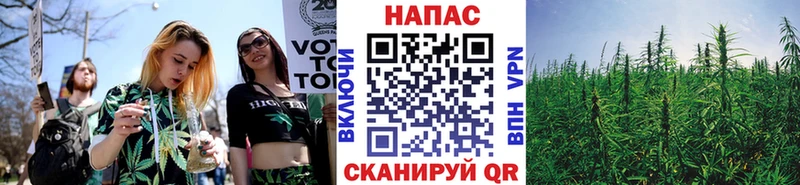 Конопля планчик  блэк спрут   Новая Ладога 